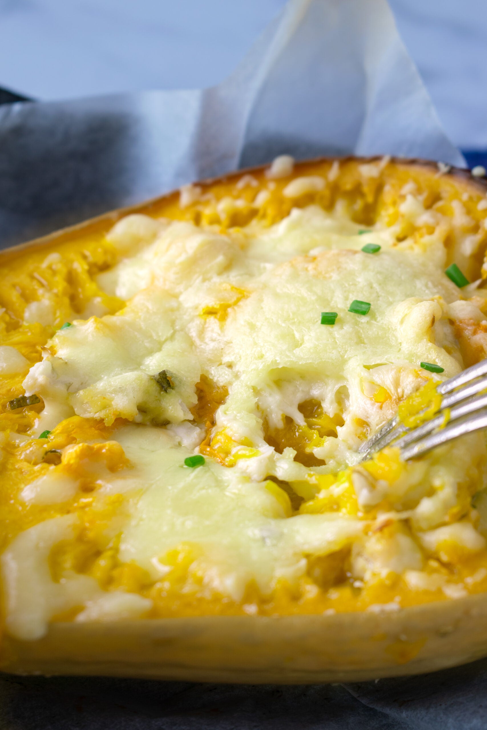 Four Cheese Chicken Stuffed Spaghetti Squash
 &ndash; Cooking Panda