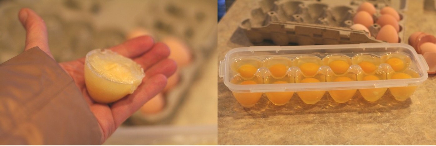 Can You Freeze JUST Egg?