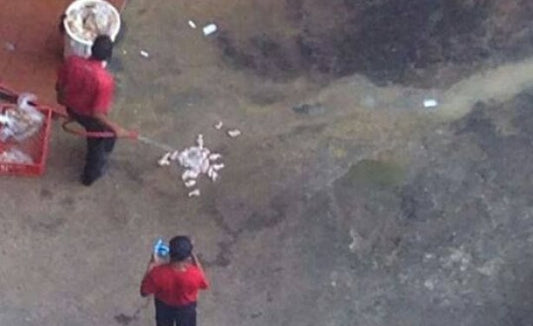 Footage Of What KFC Employees Were Doing To Chicken Quickly Goes Viral (Video)