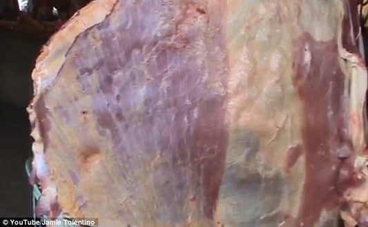 Man Notices Something Strange About Raw Piece Of Meat, Takes Out Camera And Starts Recording (Video)