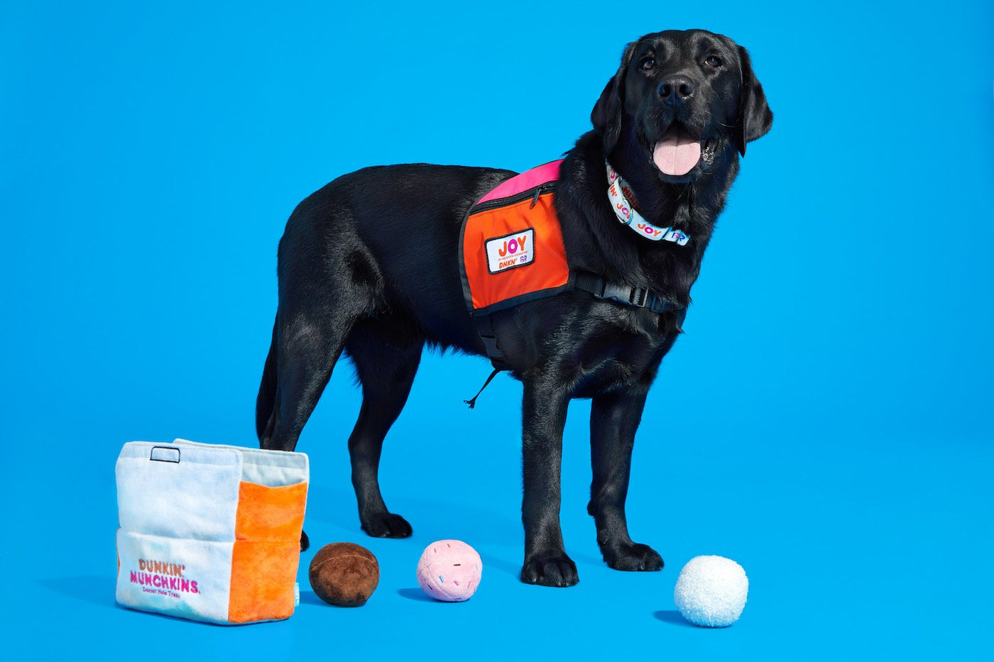Dunkin' and BARK team up on dog toys for humanity and 'canine-ity'