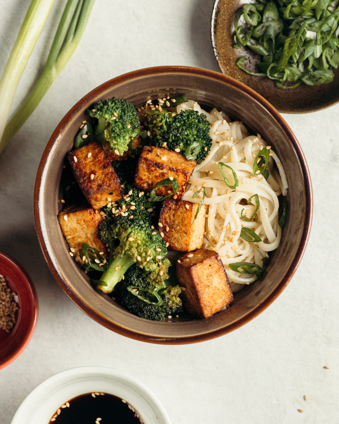Crispy Tofu and Broccoli Noodles||Sweet & Sour Chicken Satay