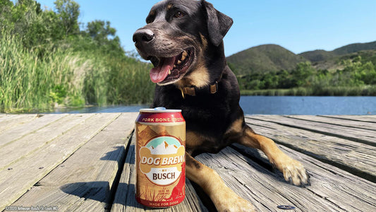 Share a cold one with Spot with Busch's new Dog Brew