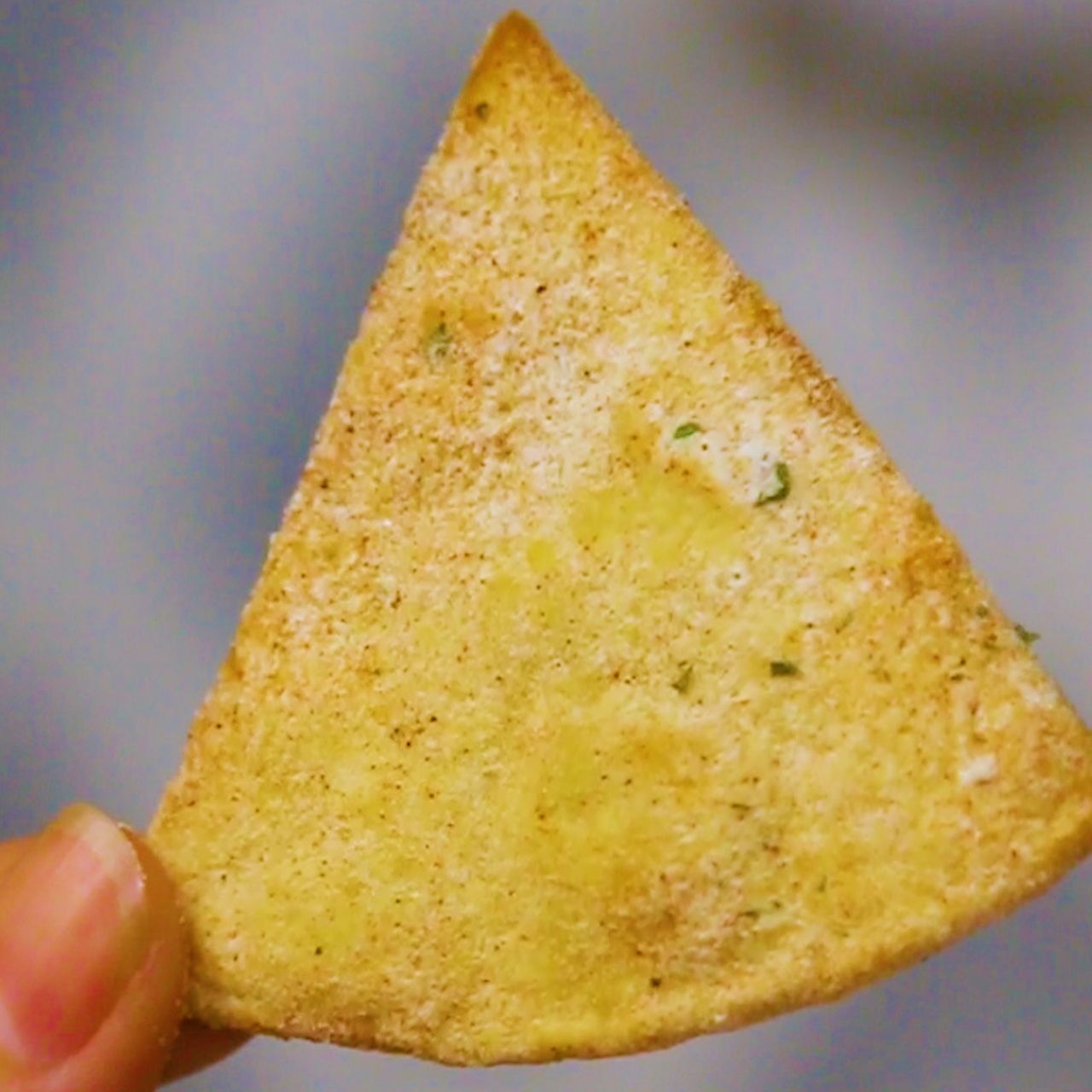 Cool Ranch Doritos Seasoning Recipe