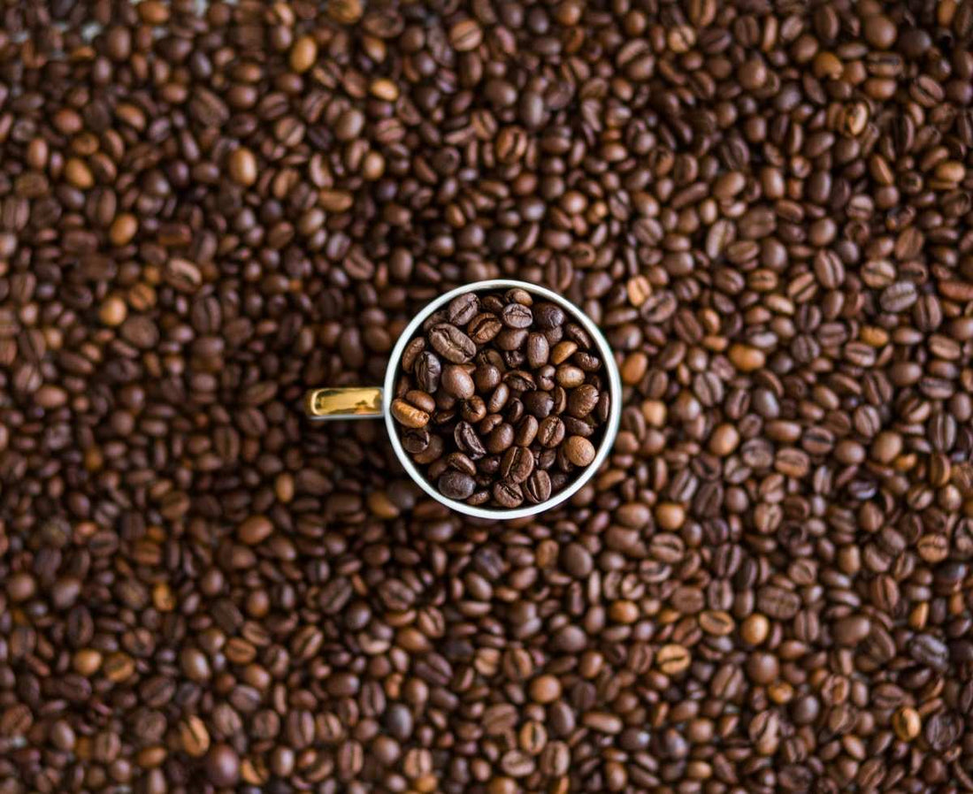 Nespresso Is Bringing Cuban Coffee Back To America