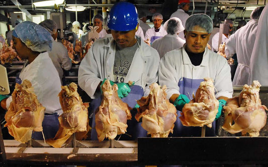 #GiveThemABreak: Oxfam Demands Poultry Workers Be Allowed Bathroom Breaks