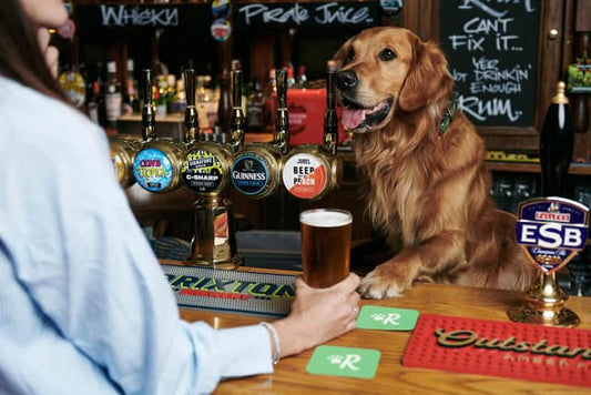 Dogs Will Serve You Beer At This British Bar