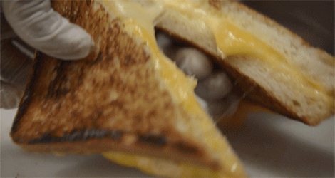 Gooey Grilled Cheese Gifs||Gooey Grilled Cheese Gifs||Gooey Grilled Cheese Gifs||Gooey Grilled Cheese Gifs||Gooey Grilled Cheese Gifs||Gooey Grilled Cheese Gifs||Giant-Grilled-Cheese-GIF||Giant-Grilled-Cheese-Sand
