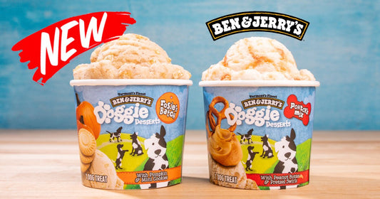 Ben & Jerry's Doggie Desserts Are for Friends of Hoomans Everywhere