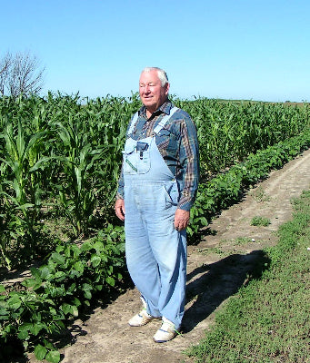 This Stunning, Glass Gem Corn Is All Natural, And Bred From Heritage Seeds cover