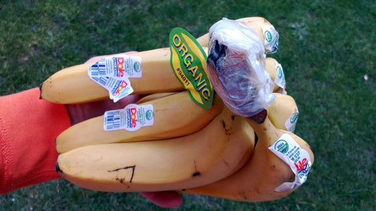 5 Foods You Should Never Buy At Walmart||5 Foods You Should Never Buy At Walmart||5 Foods You Should Never Buy At Walmart||5 Foods You Should Never Buy At Walmart||5 Foods You Should Never Buy At Walmart