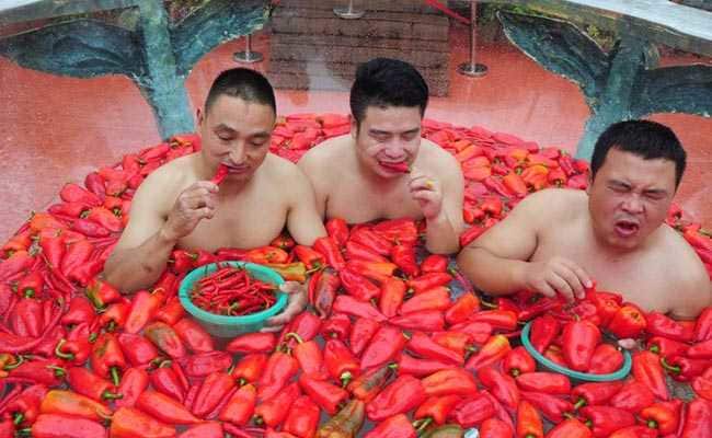Chilli Eating Contest||Chilli Eating||Chile Peppers