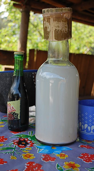 5 Authentic Mexican Drinks For Cinco de Mayo cover