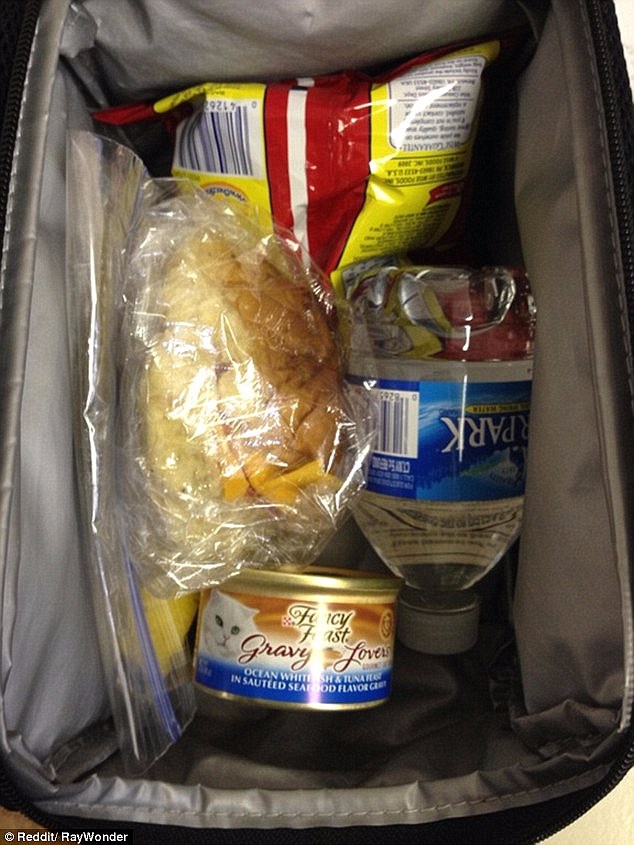 Another US resident accidentally packed cat food instead of tuna for this lunchbox&nbsp;