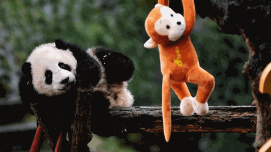 Watch: This Is Why You Should Never Flip Off Monkeys (Or Pandas)