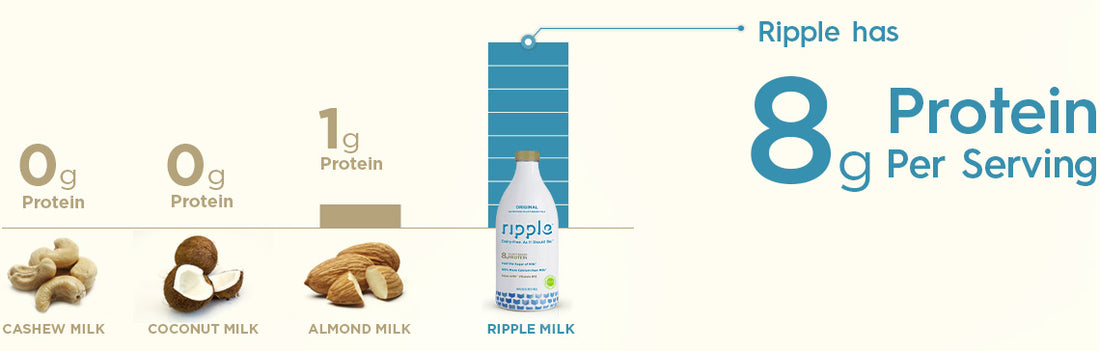 Ripple has 8g Protein per Serving
