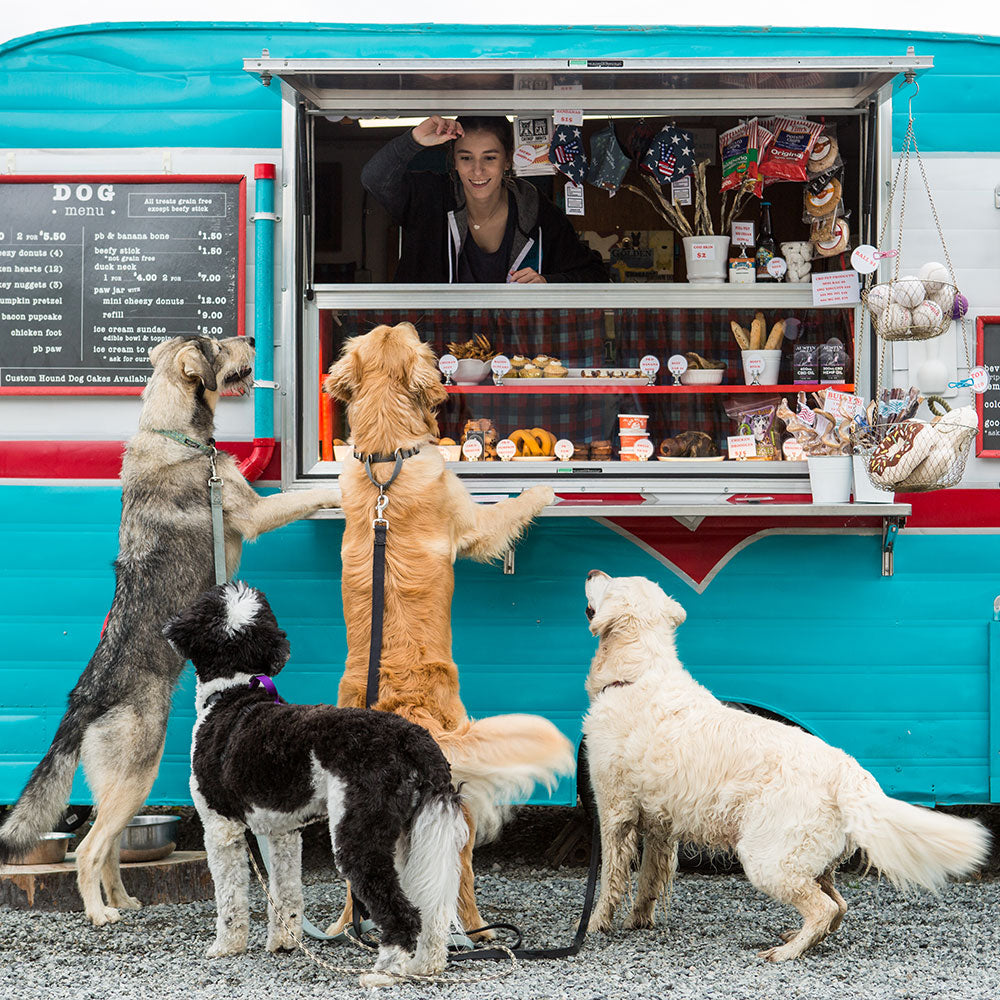 All Bark - And Plenty To Bite: The Seattle Barkery Provides Food Truck Service For Dogs 00