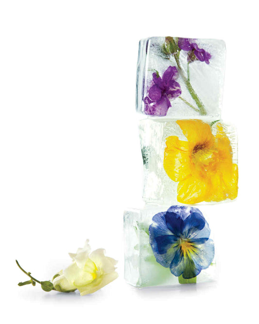 ||||||Flower-Infused Cocktails||cucumber__rose_collins||nastirtium||Flower-Infused Cocktails||spiced-maitai