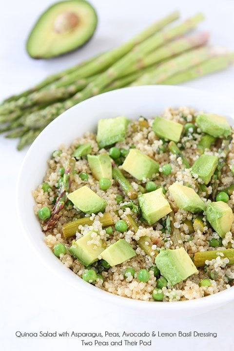 Spring-Quinoa-Salad||Chicken Avocado Burgers||deep-fried-guacamole||Charred-Corn-and-Avocado-Pizza||avocado-mac-and-cheese||Tuna-Poke-Bowl||avocado-margarita